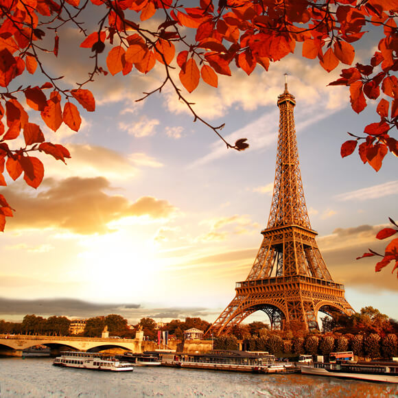 Eiffel Tower Maple Leaves Sunset Scenery Backdrop M6-43 – Dbackdrop