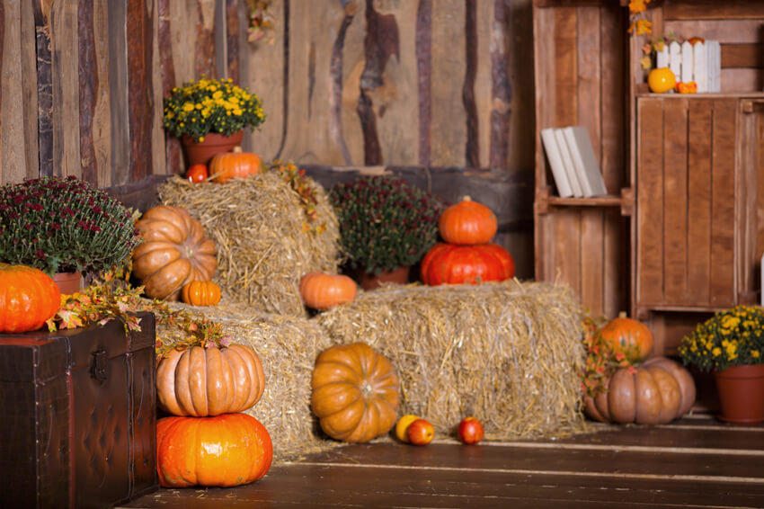 Autumn Barn Pumpkin Straw Thanksgiving Backdrop