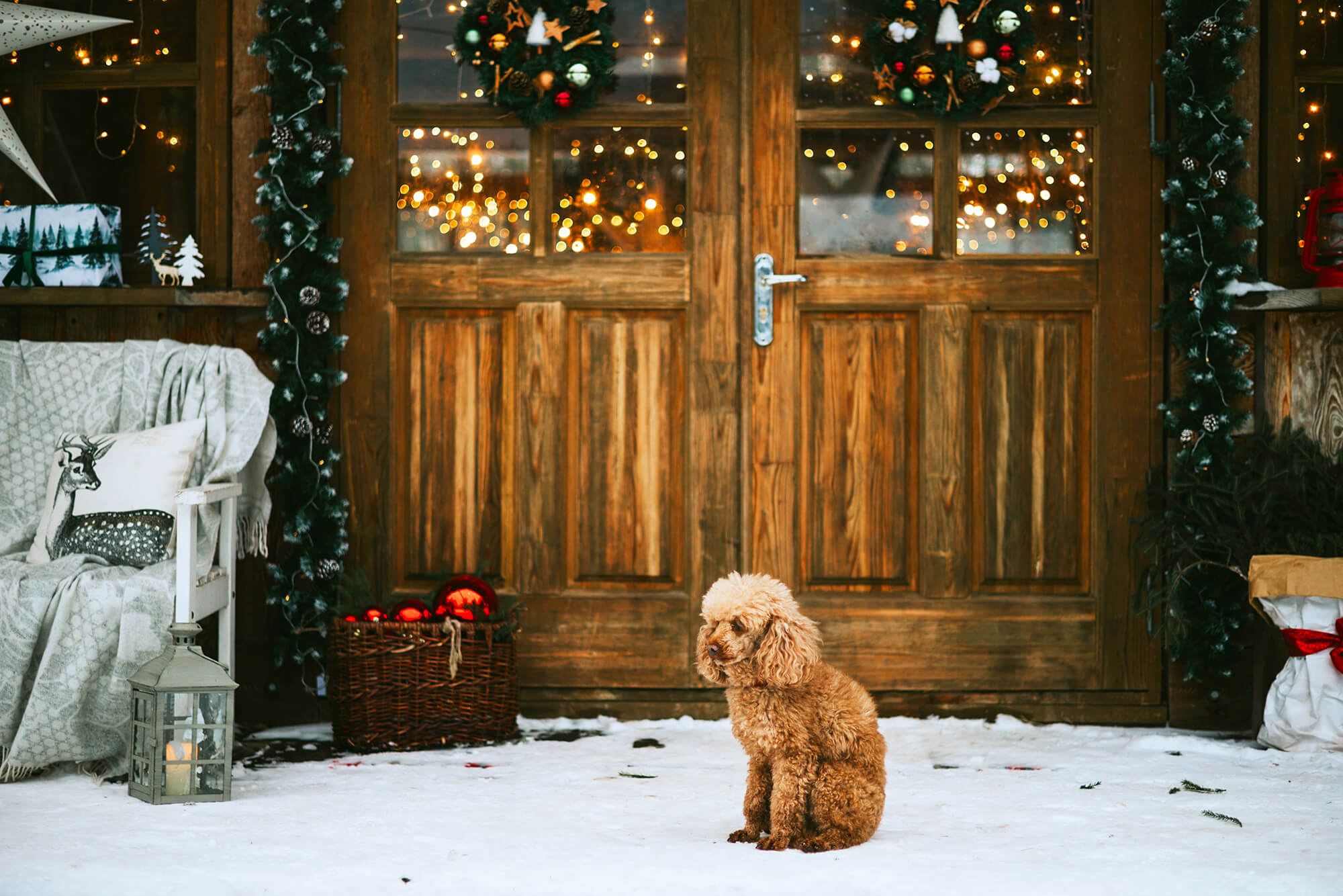 Christmas Lights Decorated Village House Backdrop M6-91