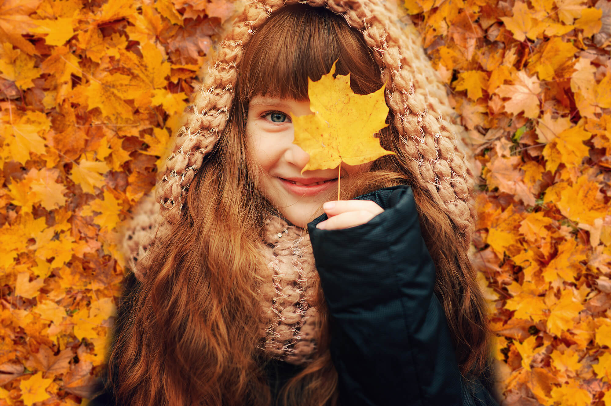 Autumn Golden Maple Leaves Photography Backdrop M6-97