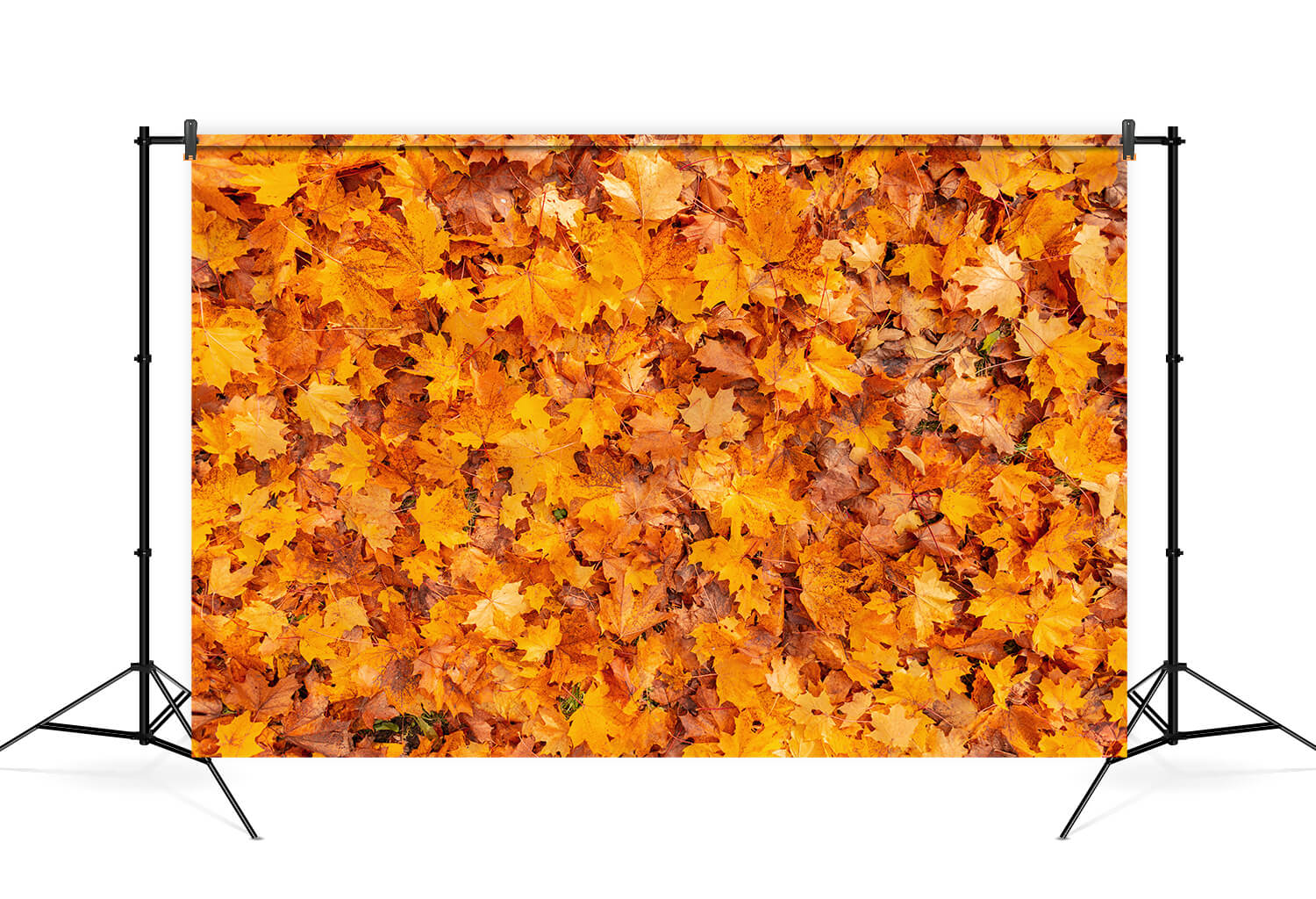 Autumn Golden Maple Leaves Photography Backdrop M6-97