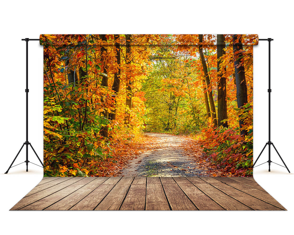 Beautiful Autumn Forest Lane Maple Trees Backdrop M6-99