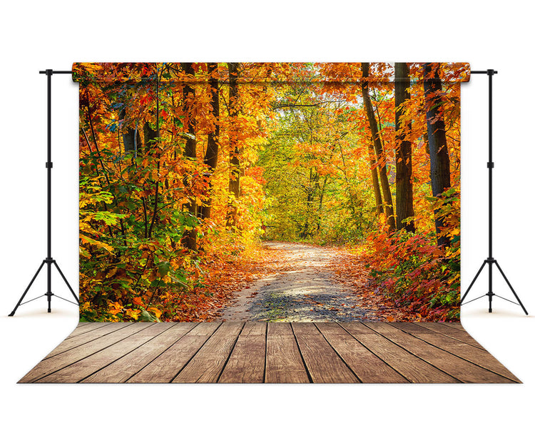 Beautiful Autumn Forest Lane Maple Trees Backdrop M6-99 – Dbackdrop