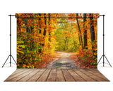 Beautiful Autumn Forest Lane Maple Trees Backdrop M6-99