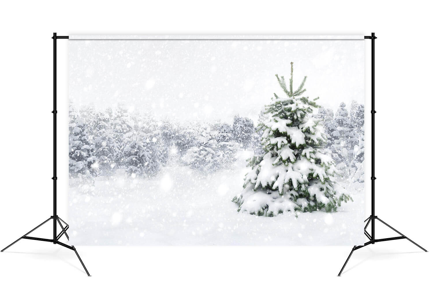 Winter Forest Snow Tree Photography Backdrop M7-23