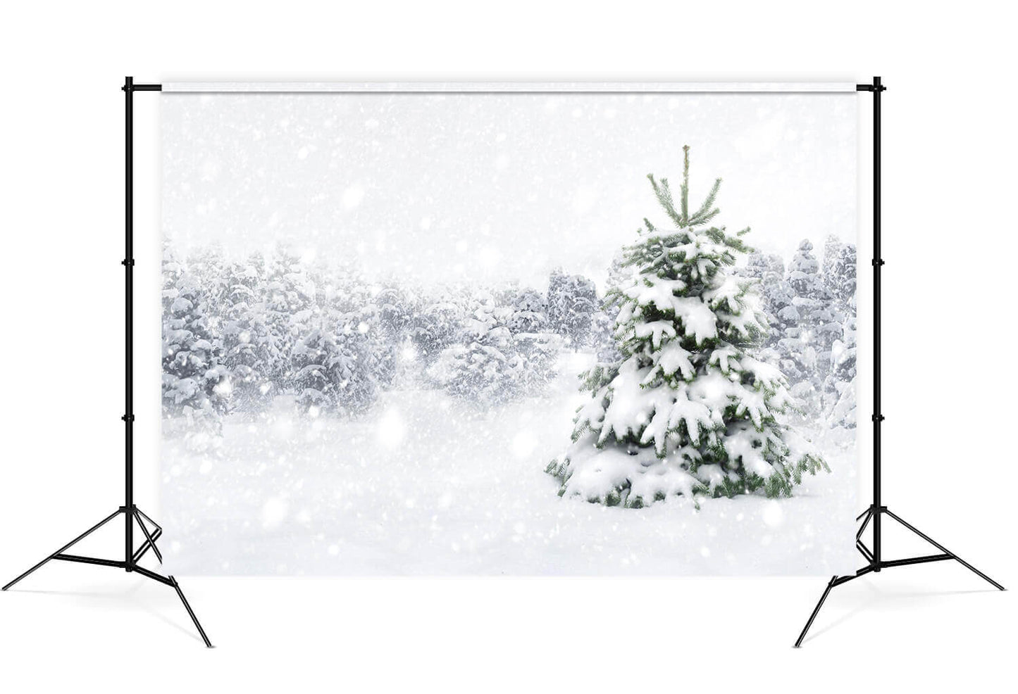 Winter Forest Snow Tree Photography Backdrop M7-23