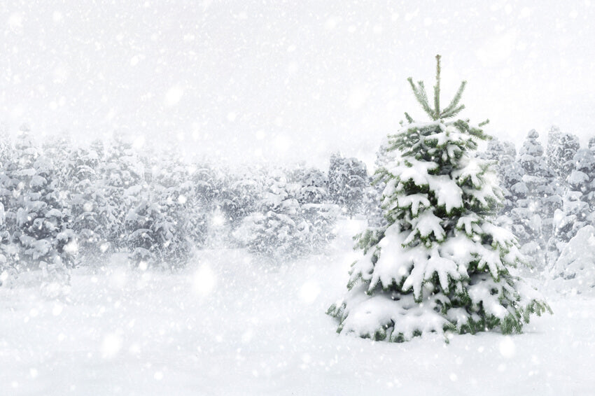 Winter Forest Snow Tree Photography Backdrop M7-23