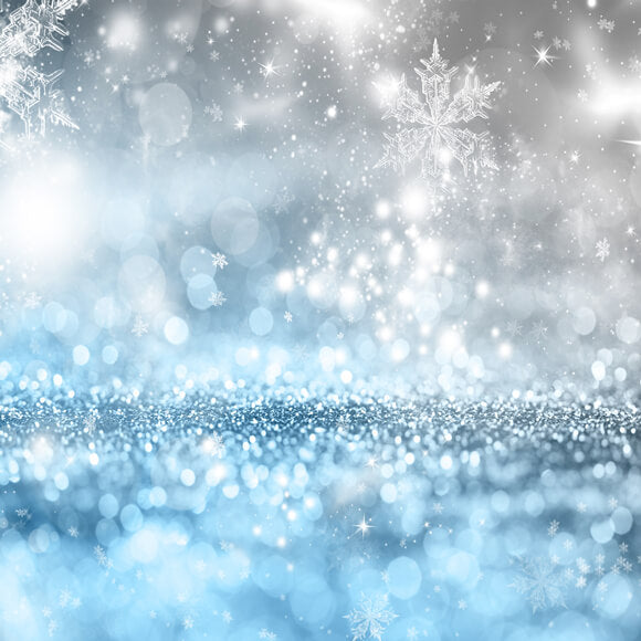 Winter Ice Falling Snowflake Photography Backdrop M7-45