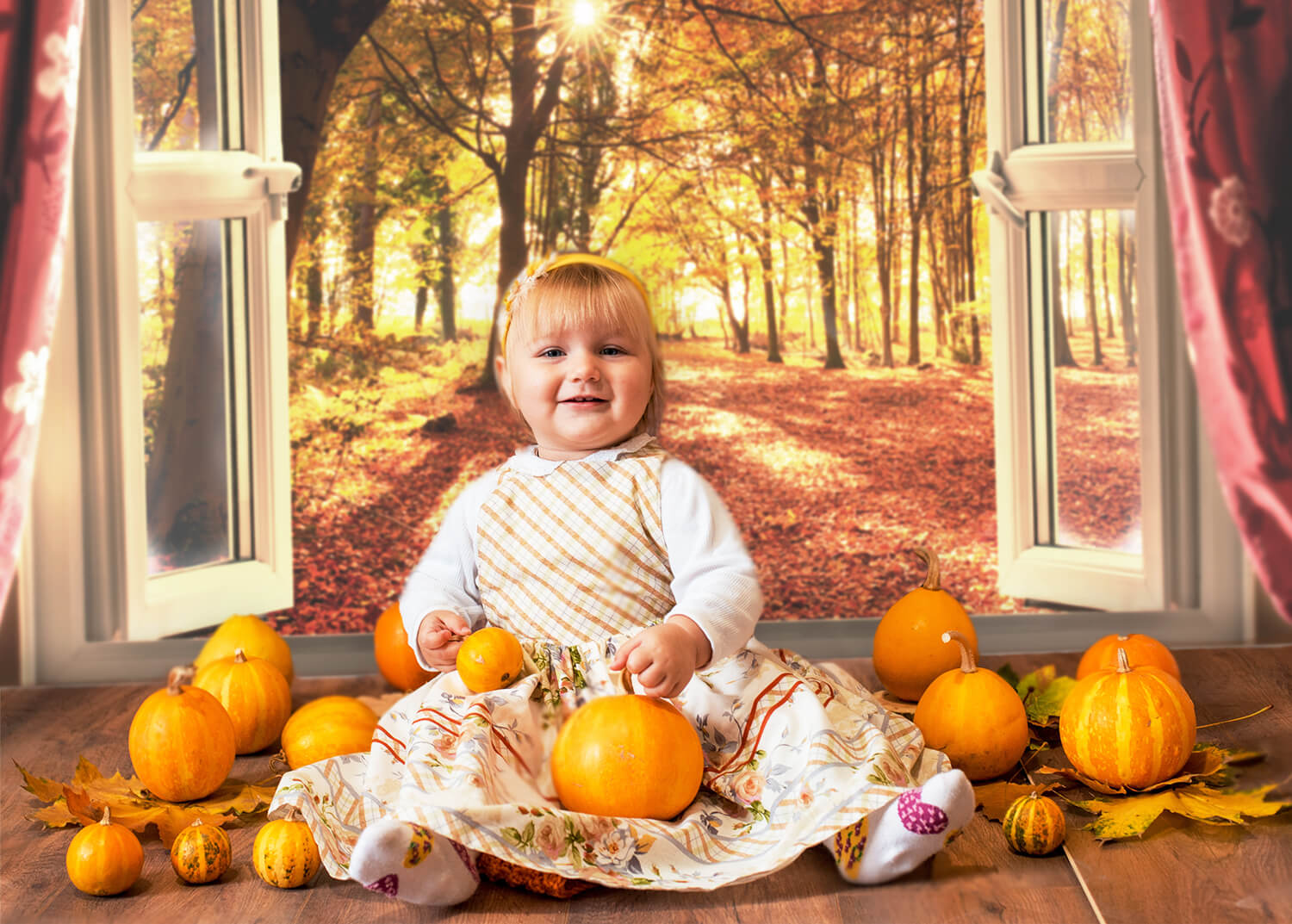 Autumn Forest Sunrise Window Landscape Backdrop M7-81