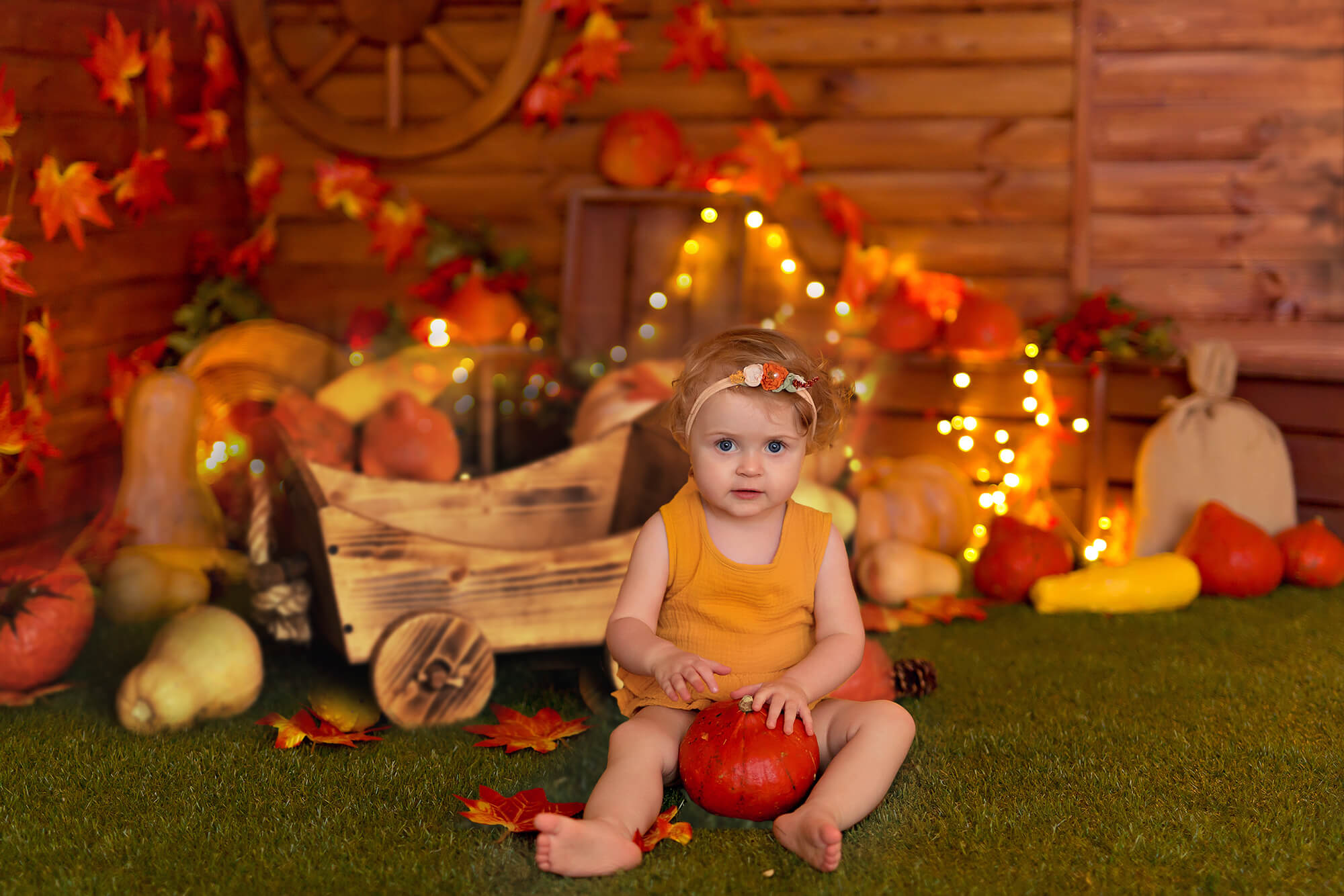 Thanksgiving Pumpkins Autumn Photography Backdrop M7-82