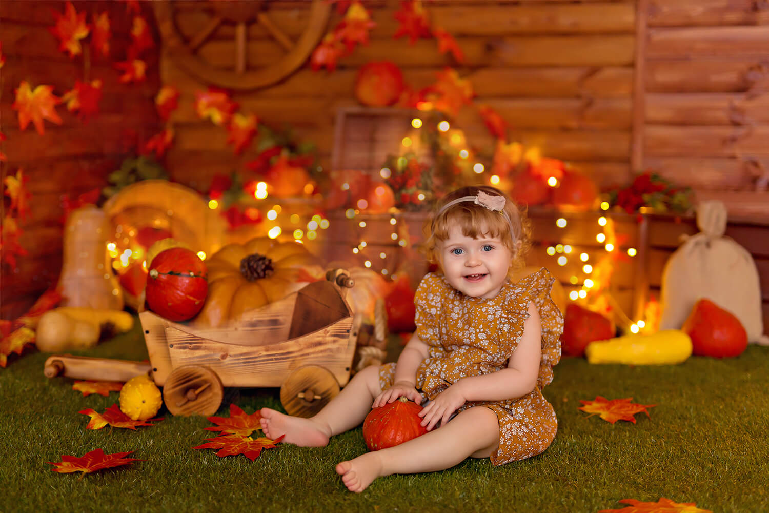 Thanksgiving Pumpkins Autumn Photography Backdrop M7-82