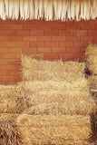 Barn Straw Farm Hay Photography Backdrop M7-83