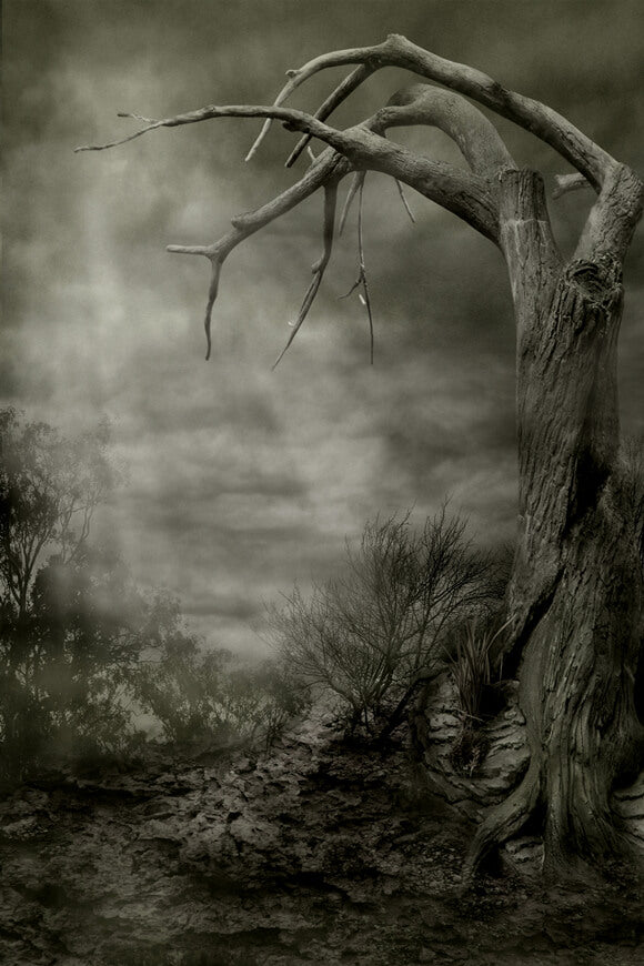 Spooky Scenery Dead Trees Halloween Backdrop 