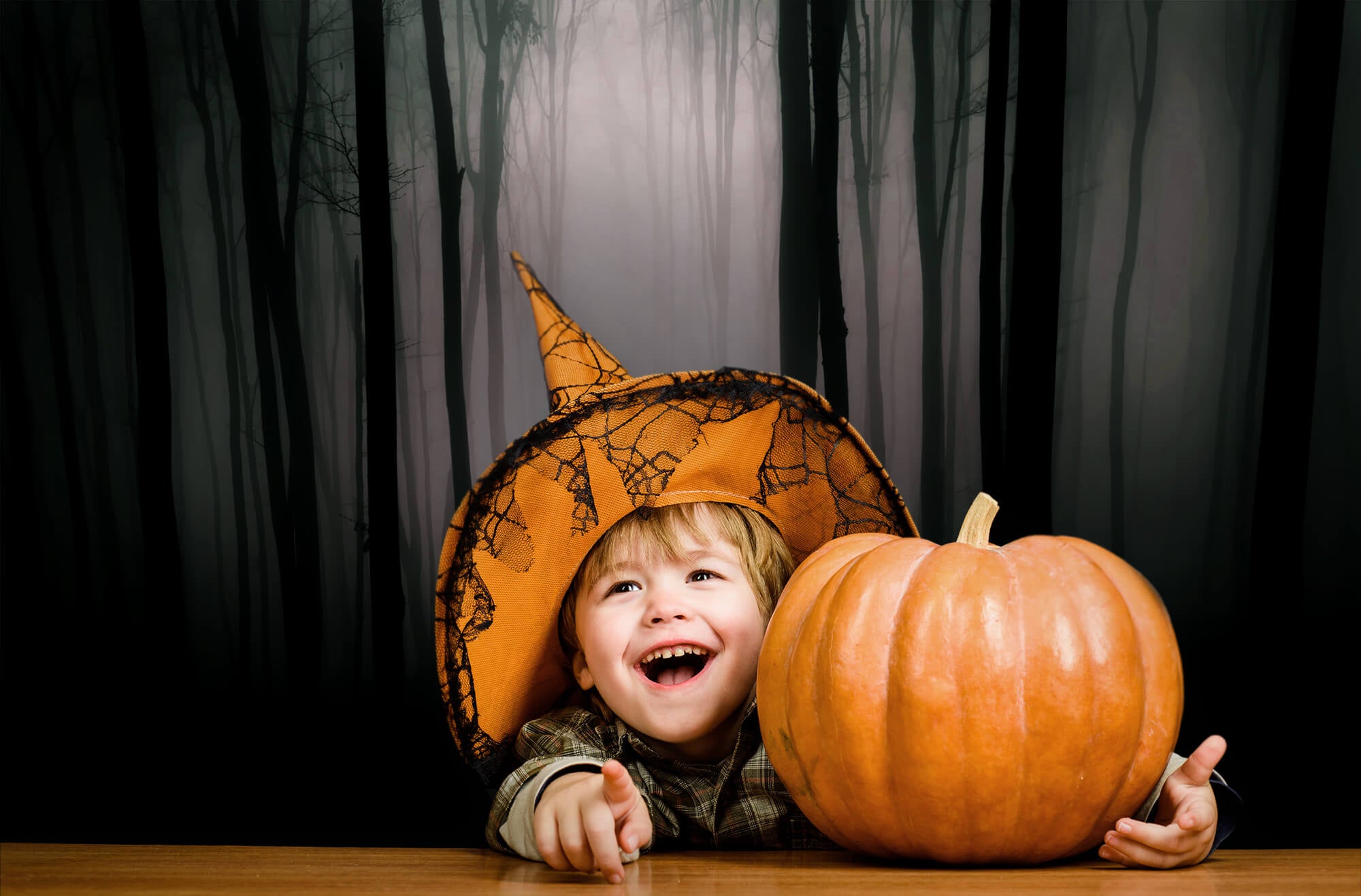 Halloween Dark Gloomy Night Forest Backdrop M8-10