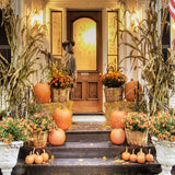 Thanksgiving Pumpkins Crops Straw Backdrop M8-11