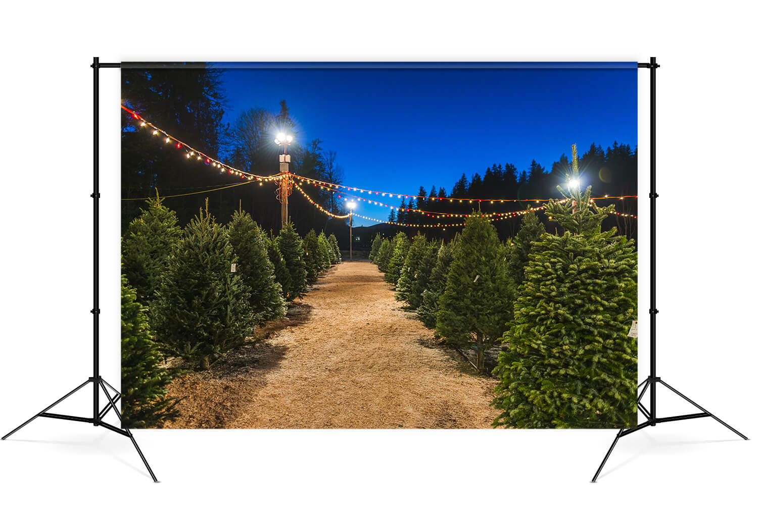 Night Christmas Tree Farm Photography Backdrop M8-21