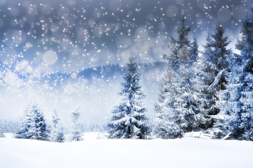 Snowy Winter Forest Trees Landscape Backdrop