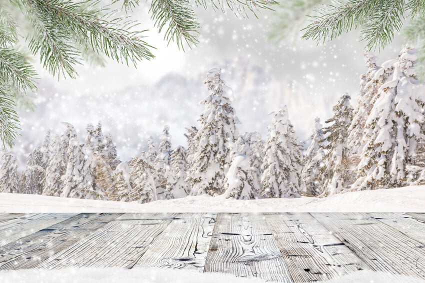 Winter Snowy Forest Wooden Planks Backdrop