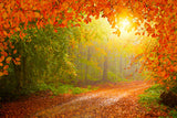 Autumn Forest Maple Leaves Scenery Backdrop