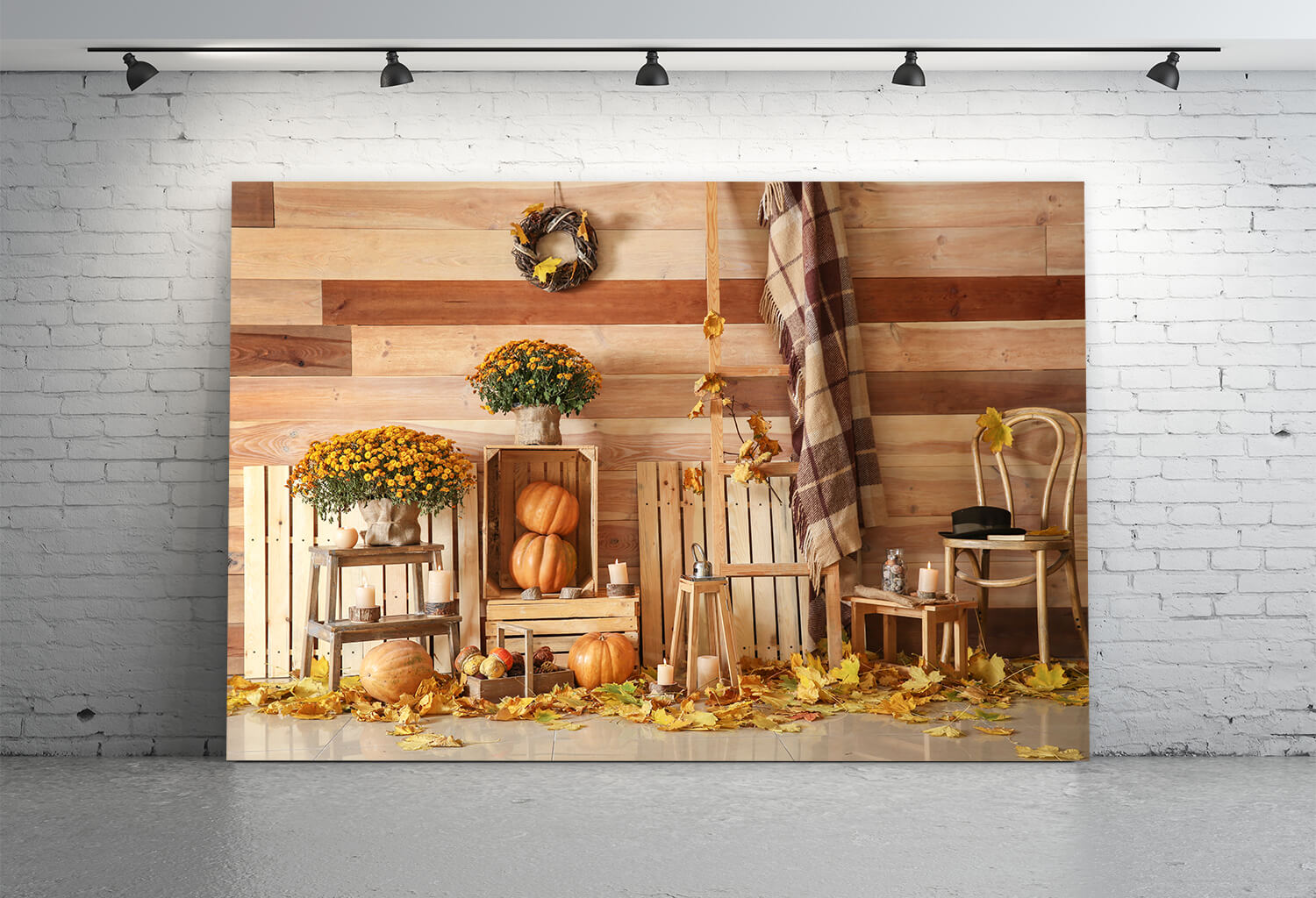 Autumn Harvest Pumpkins Photography Backdrop M8-32