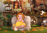 Autumn Harvest Pumpkins Photography Backdrop M8-32