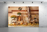 Autumn Harvest Pumpkins Photography Backdrop M8-32