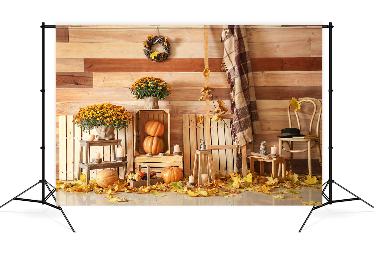 Autumn Harvest Pumpkins Photography Backdrop M8-32