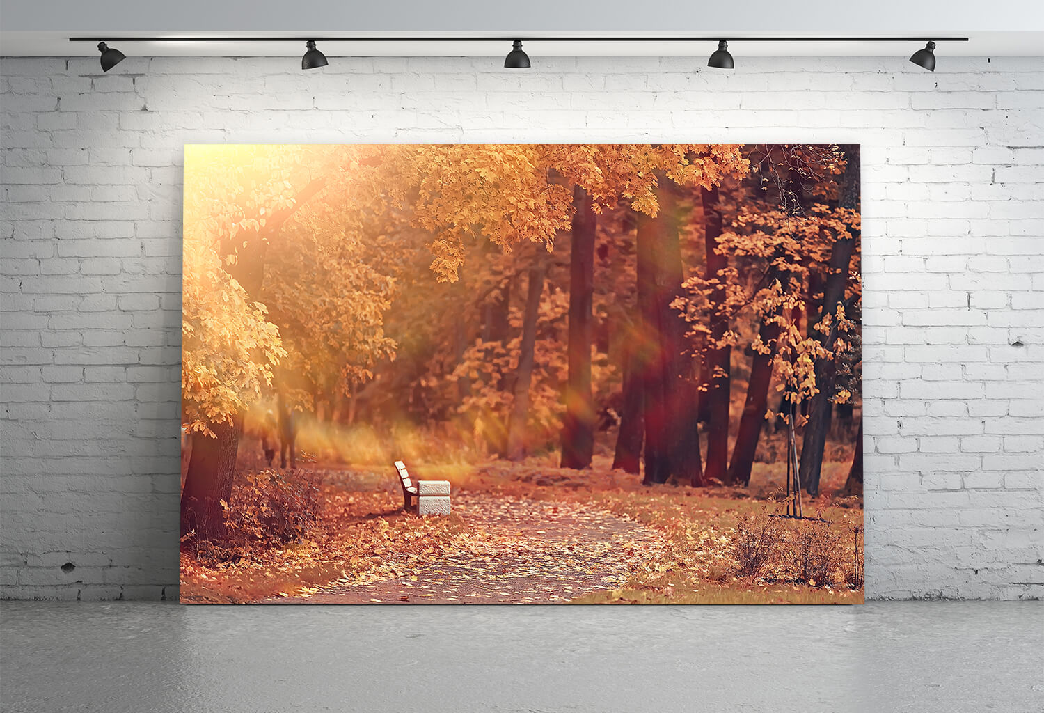 Autumn Park Maple Tree Leaves Backdrop M8-34