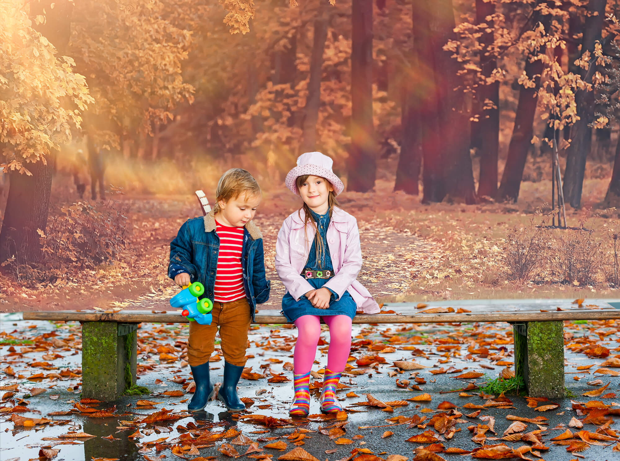 Autumn Park Maple Tree Leaves Backdrop M8-34