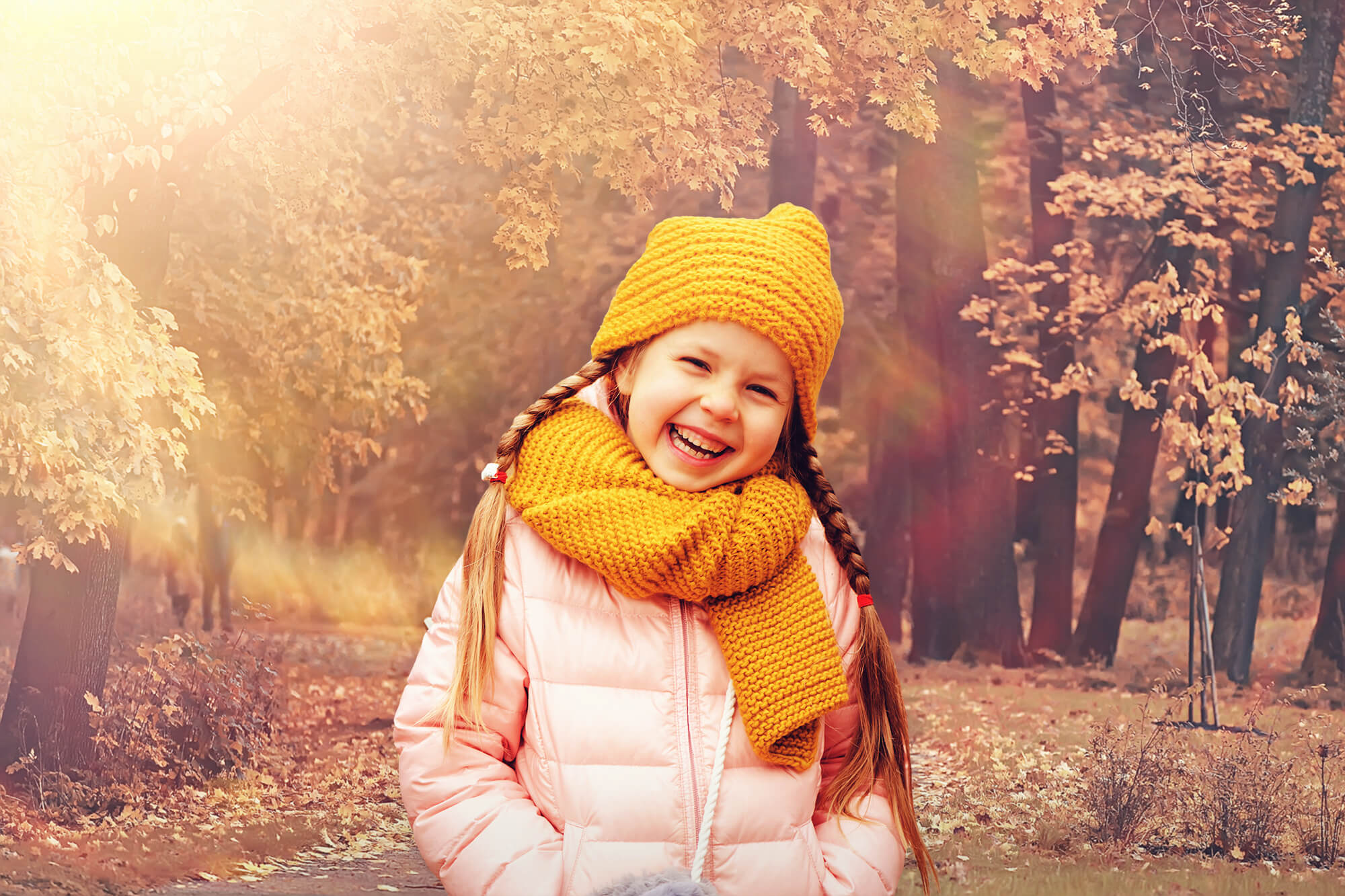 Autumn Park Maple Tree Leaves Backdrop M8-34