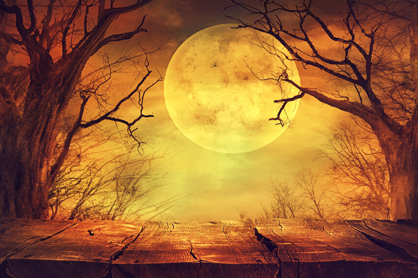 Halloween Brown Moon Scary Scenery Backdrop M8-47 – Dbackdrop