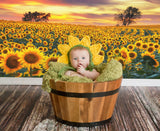 Sunflower Farm Field Photography Backdrop M8-53