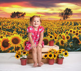 Sunflower Farm Field Photography Backdrop M8-53