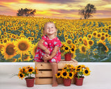 Sunflower Farm Field Photography Backdrop M8-53