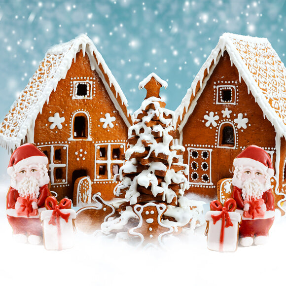 Gingerbread House Snowflake Christmas Backdrop M9-22