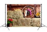 Old Rural Wooden Warehouse Farm Backdrop M9-28