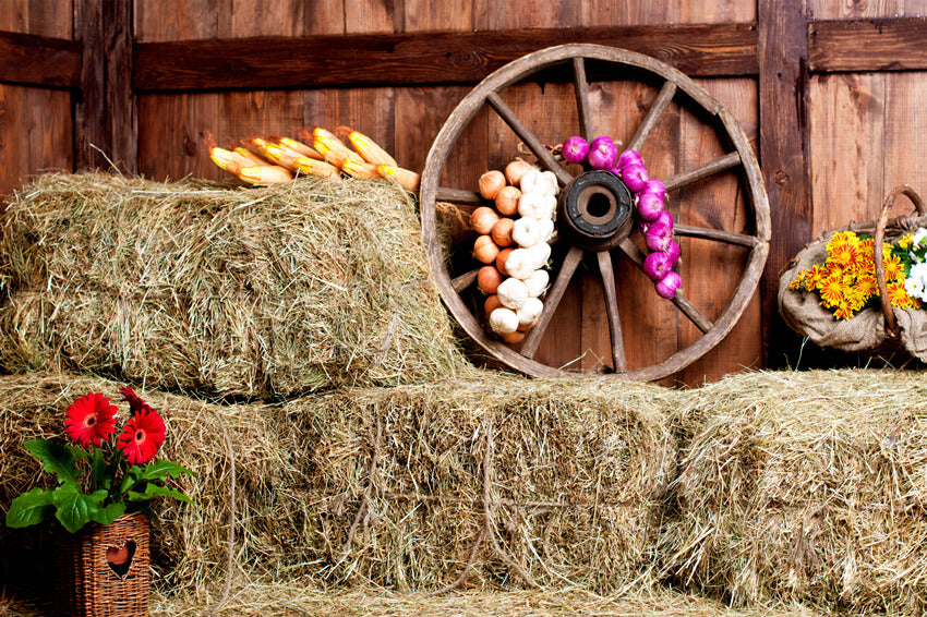 Old Rural Wooden Warehouse Farm Backdrop