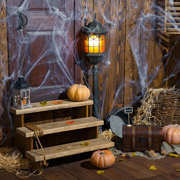 Old Wood Room Spider Web Halloween Backdrop M9-34