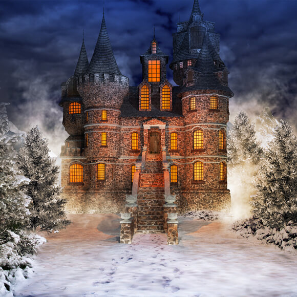 Winter Snowy Forest Fairytale Castle Backdrop M9-40