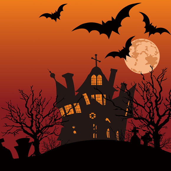 Halloween Spooky House Moon Bat Backdrop M9-44 – Dbackdrop