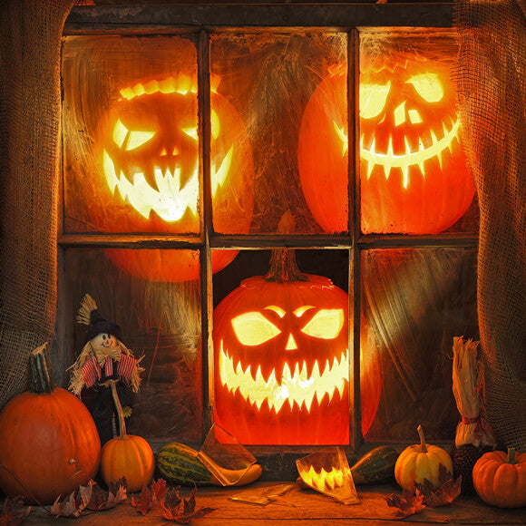 Halloween Pumpkin Ghost Face Lantern Backdrop M9-45