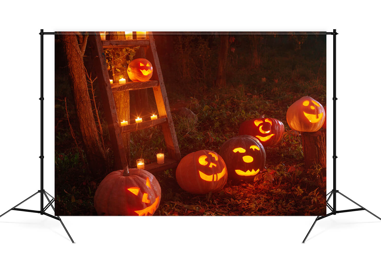 Halloween Horror Forest Pumpkin Ghost Backdrop M9-46