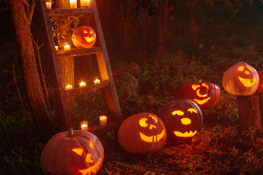 Halloween Horror Forest Pumpkin Ghost Backdrop