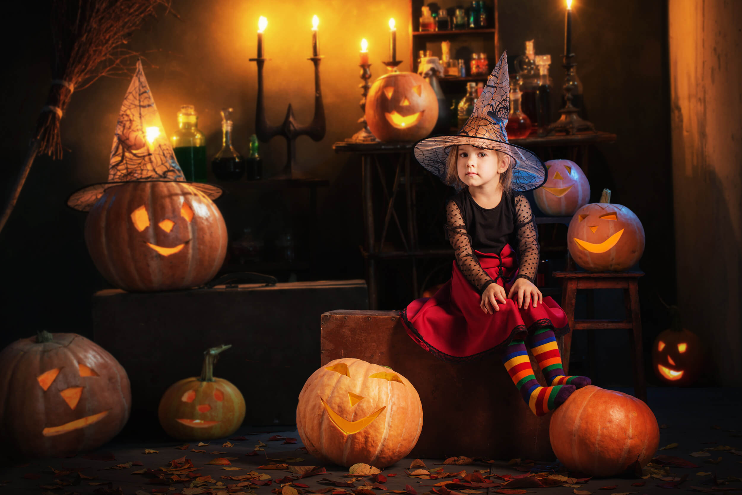 Halloween Witch Room Pumpkins Candles Backdrop M9-47