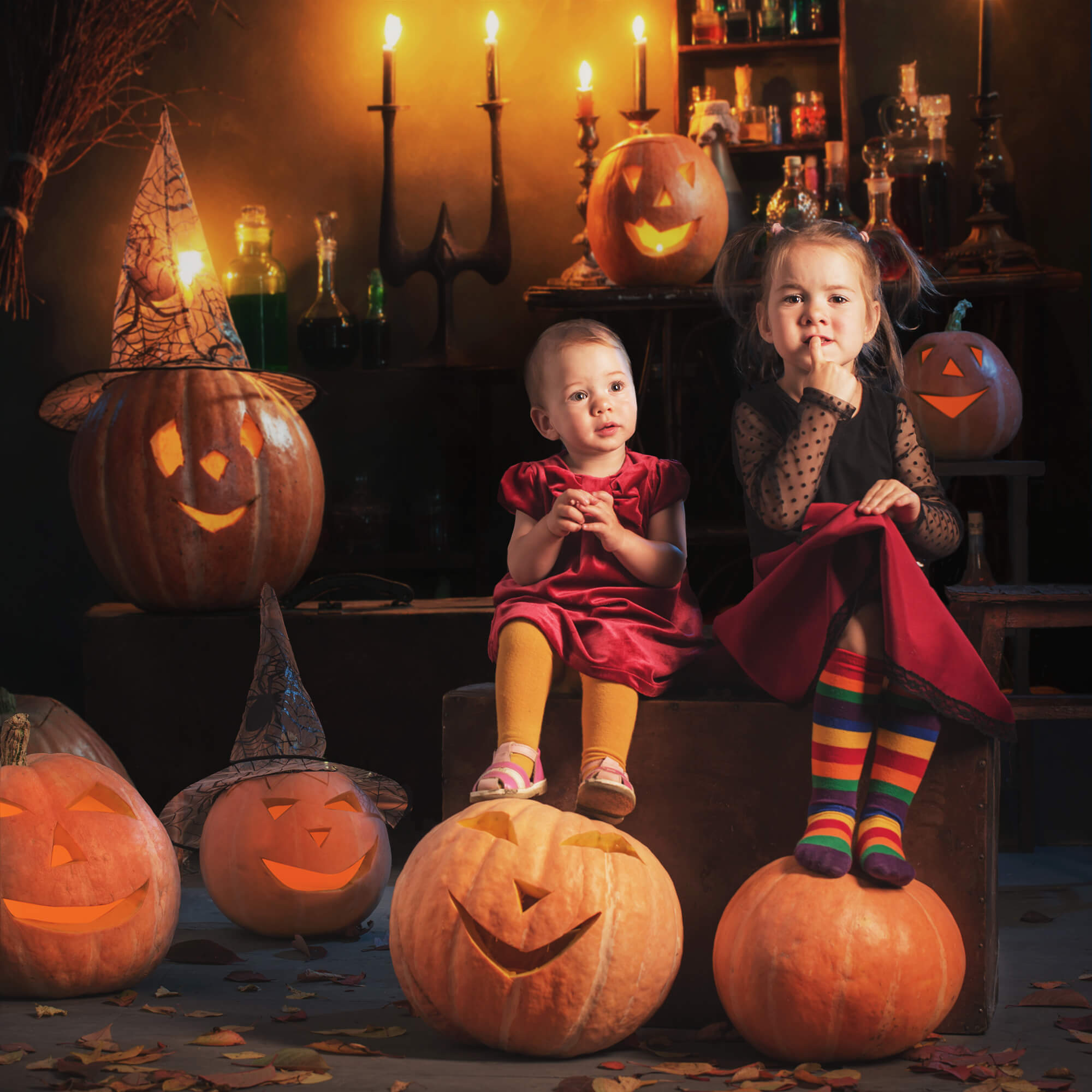 Halloween Witch Room Pumpkins Candles Backdrop M9-47