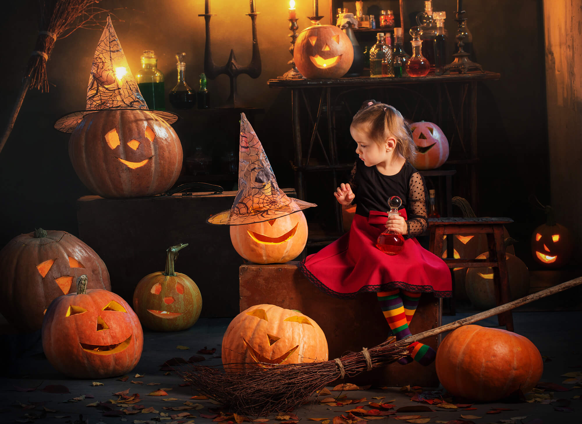 Halloween Witch Room Pumpkins Candles Backdrop M9-47