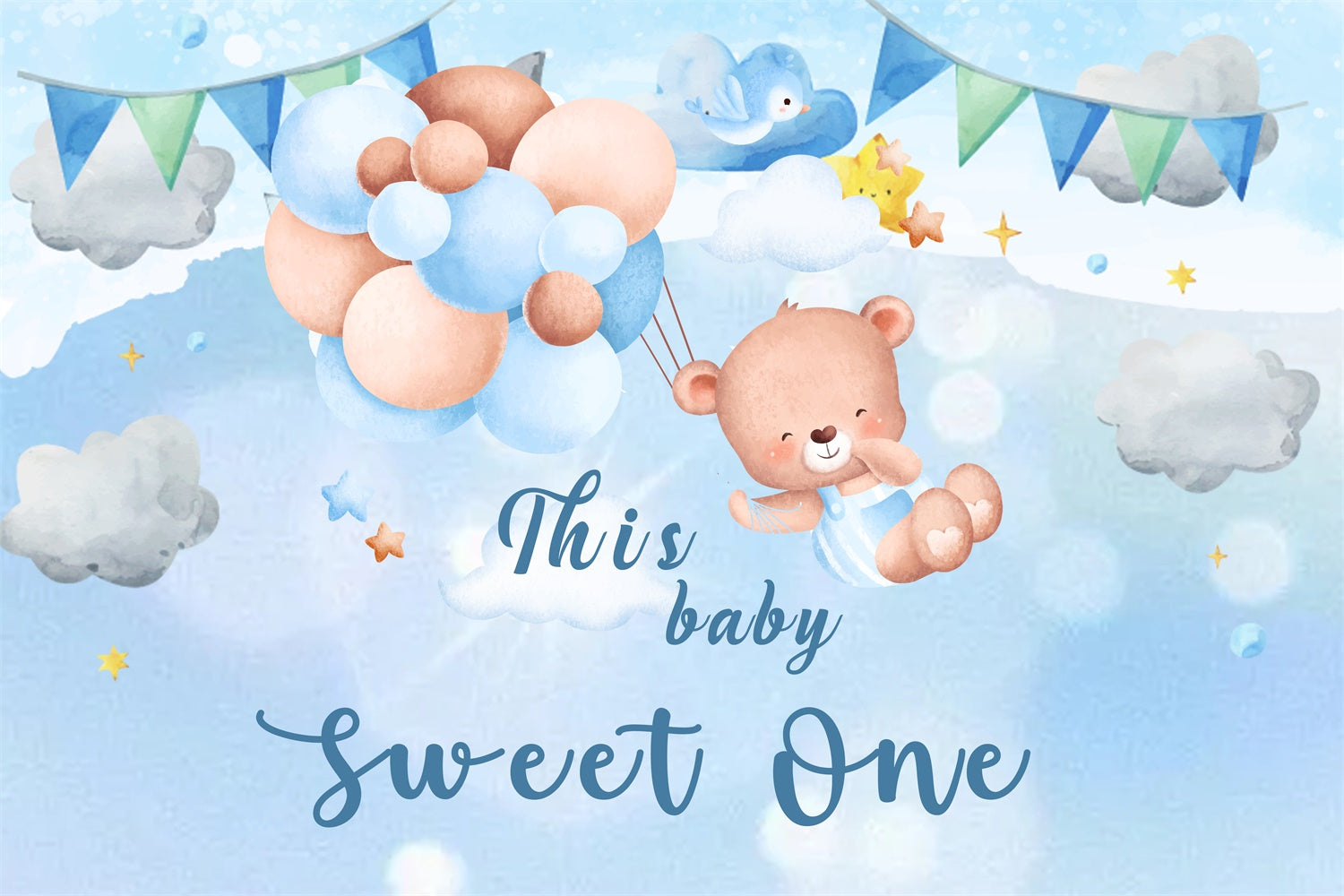 Personalized Birthday Photo Backdrop Teddy Sky Balloon Backdrop RR1-29