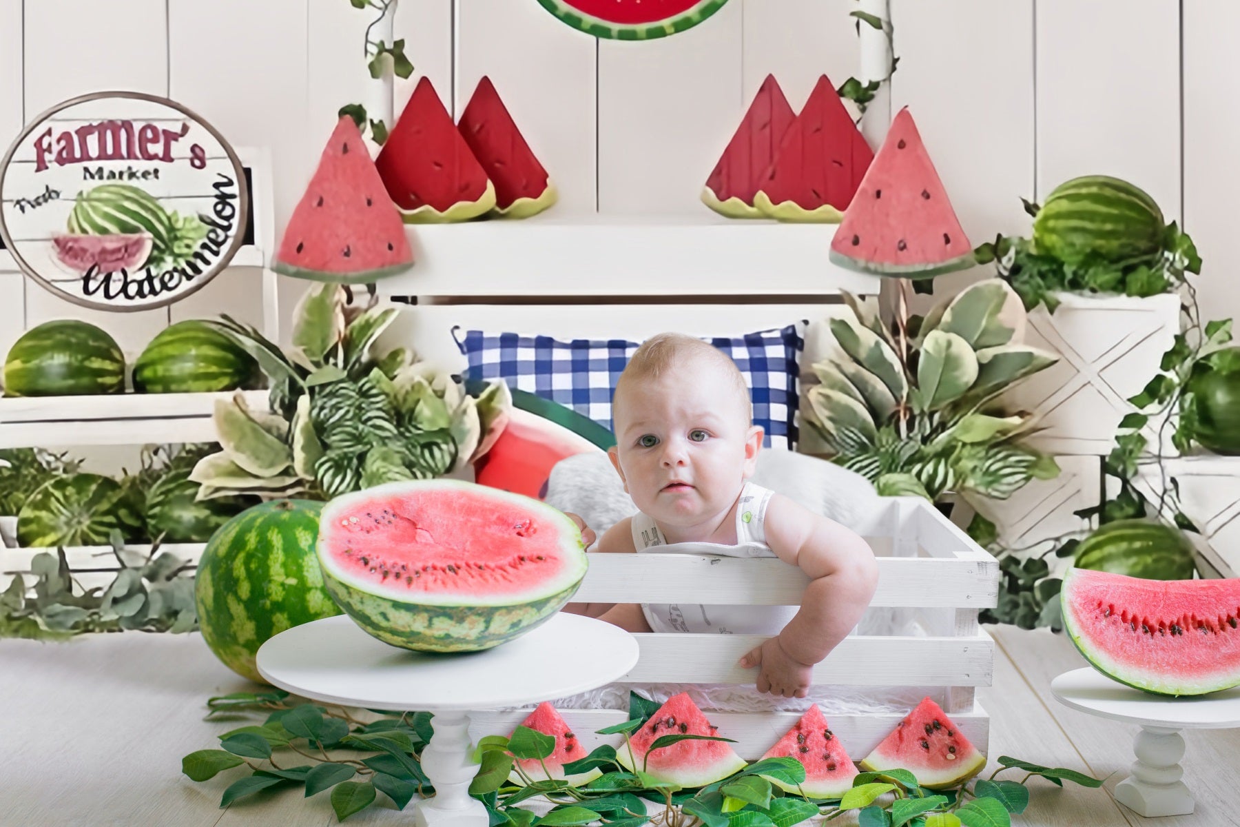 Summer Board Watermelon Market Backdrop RR3-13