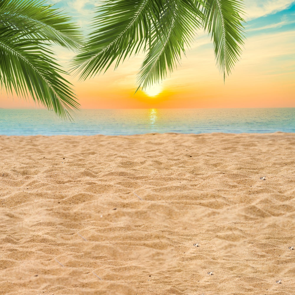 DBackdrop Summer Seaside Beach Coconut Tree Sunset Backdrop RR3-42