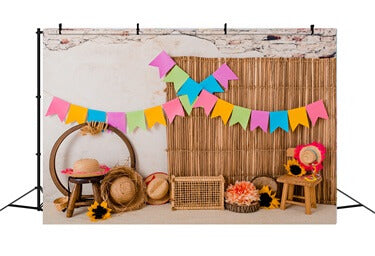 Colored Flags Rattan Decor Photography Backdrop RR5-43